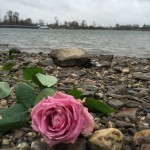 Treibgut - Der Fluss des Lebens macht manchmal unerwartete Geschenke...