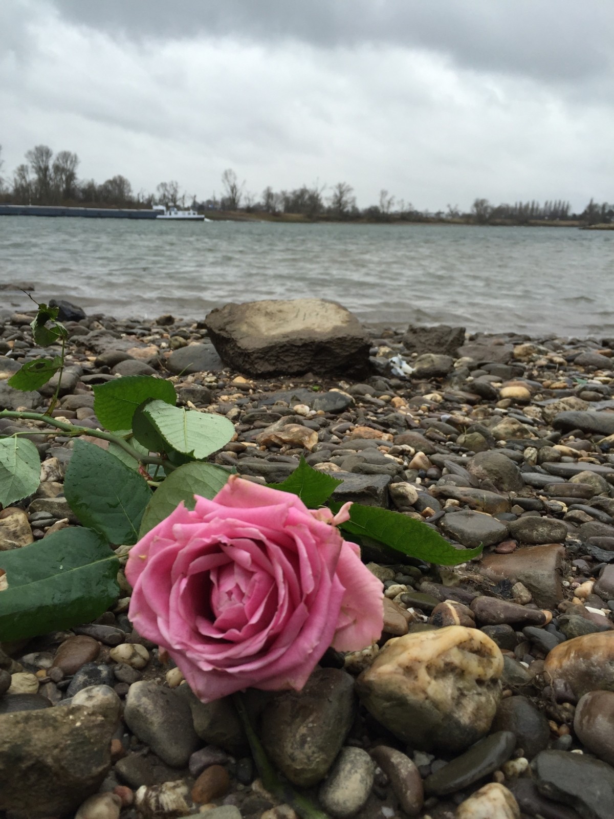 Treibgut - Der Fluss des Lebens macht manchmal unerwartete Geschenke...