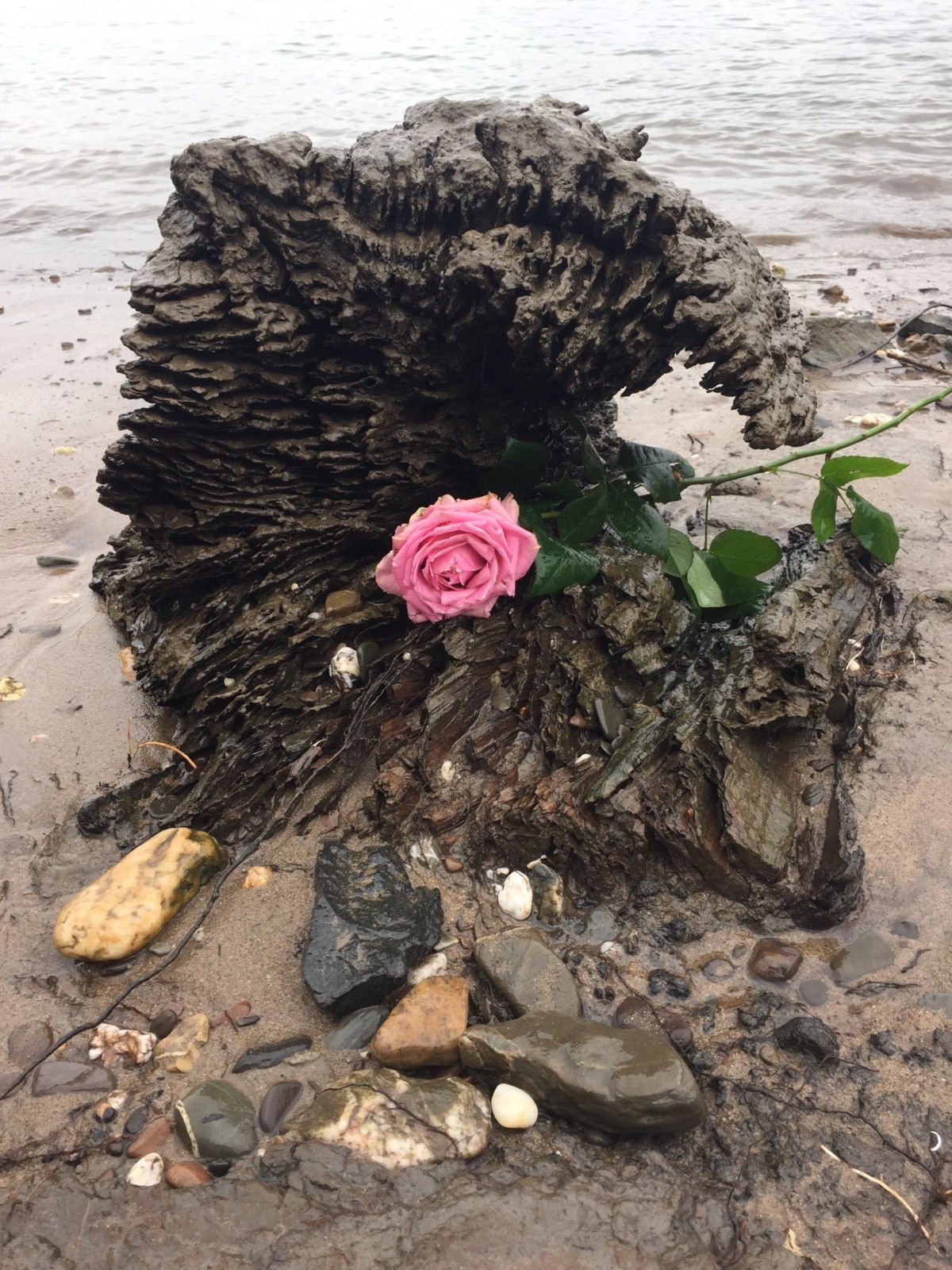 Treibgut - Der Fluss des Lebens macht manchmal unerwartete Geschenke...