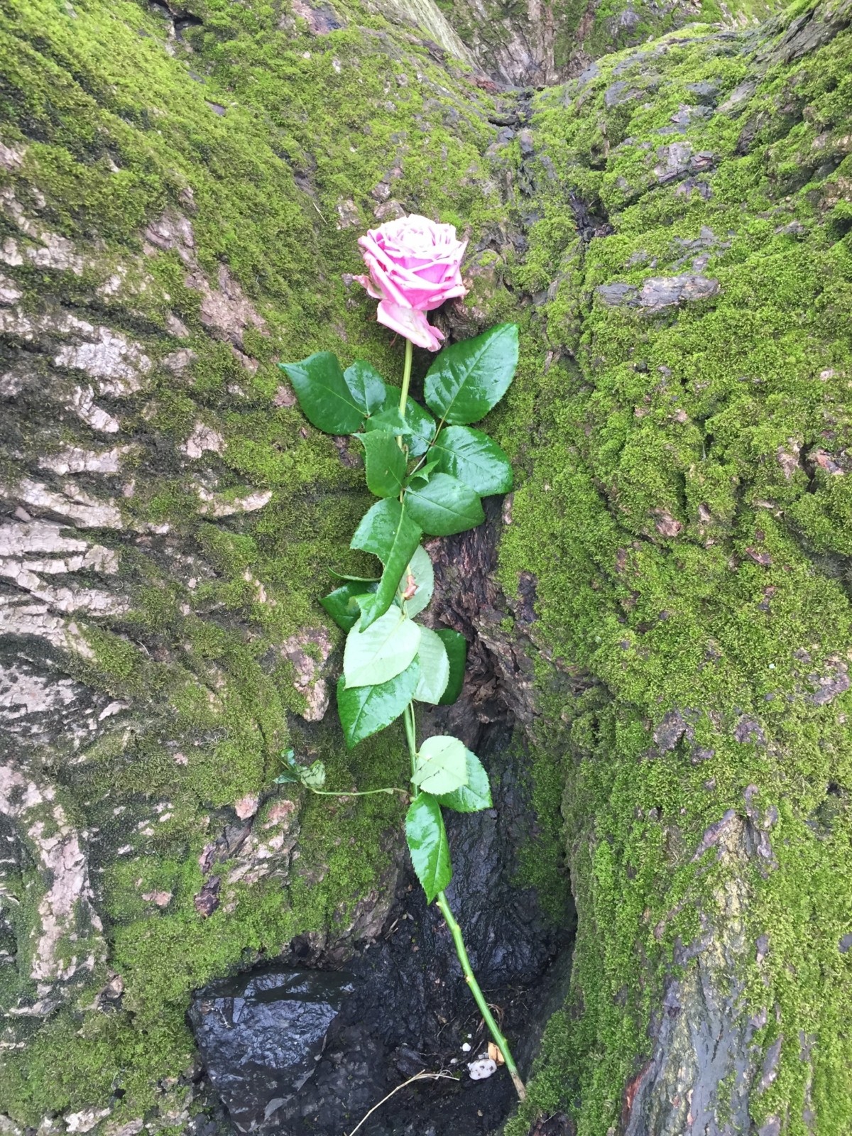 Treibgut - Der Fluss des Lebens macht manchmal unerwartete Geschenke...