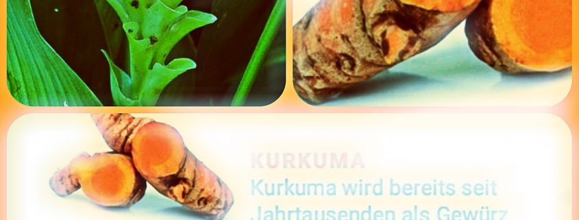 Warum Diätvorsätze zum Jahreswechsel im Sande verlaufen  - Zusammenhänge von Emotionen und Essverhalten sowie den positiven Eigenschaften von Kurkuma