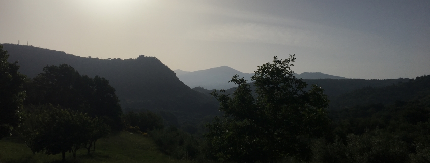 Sommersonnenwende - die kürzeste Nacht und die Kraft des Lichtes und des Lebens