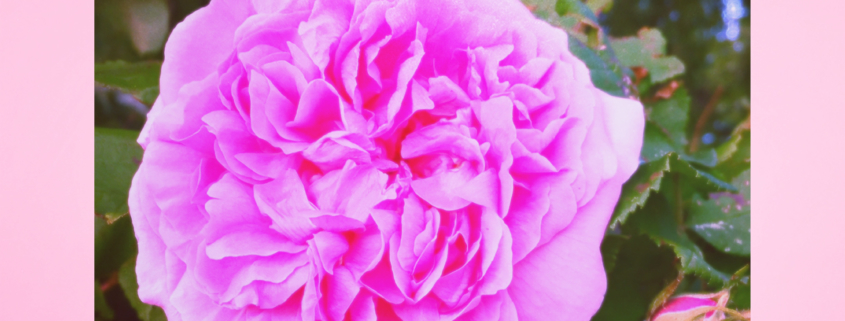 Weltfrauentag - BeWoman-BeYourself Weltfrauentag - BeWoman-BeYourself